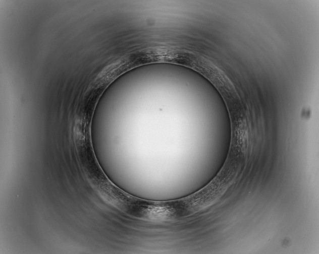 X0000100980218200806241551