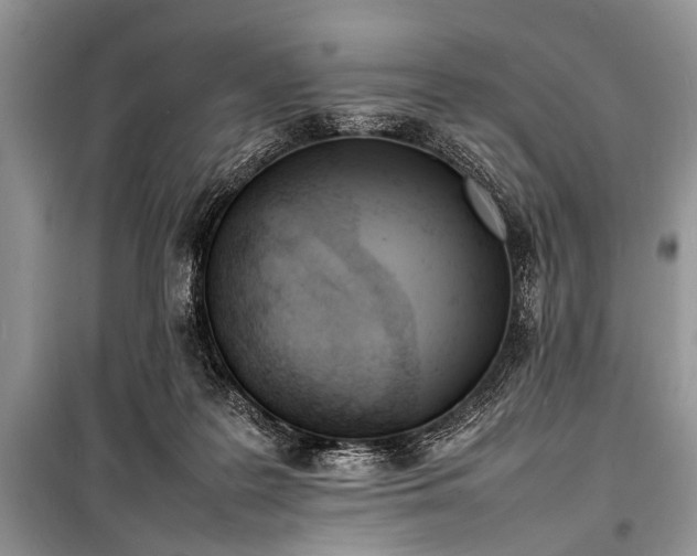 X0000100980219200806241551