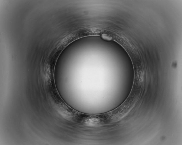 X0000100980220200806241551