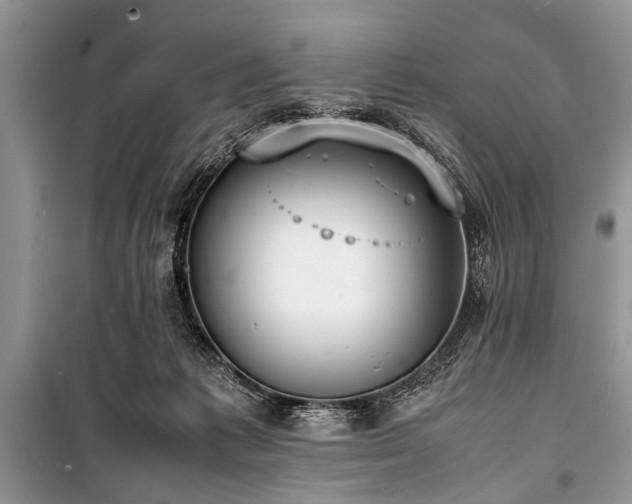 X0000100980221200806241551