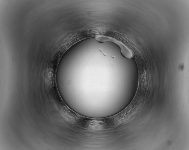 X0000100980222200806241551