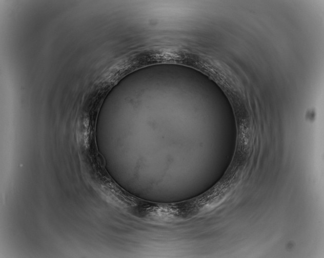 X0000100980223200806241551