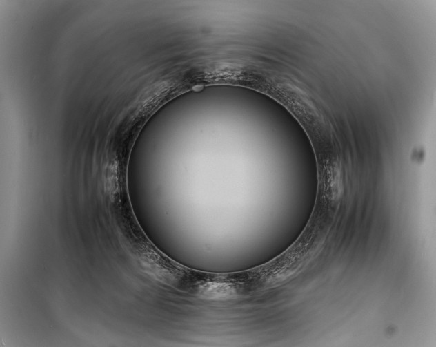 X0000100980224200806241551