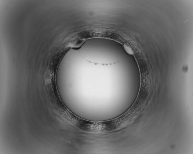 X0000100980225200806241551