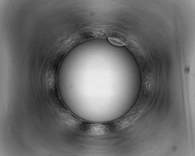 X0000100980226200806241551