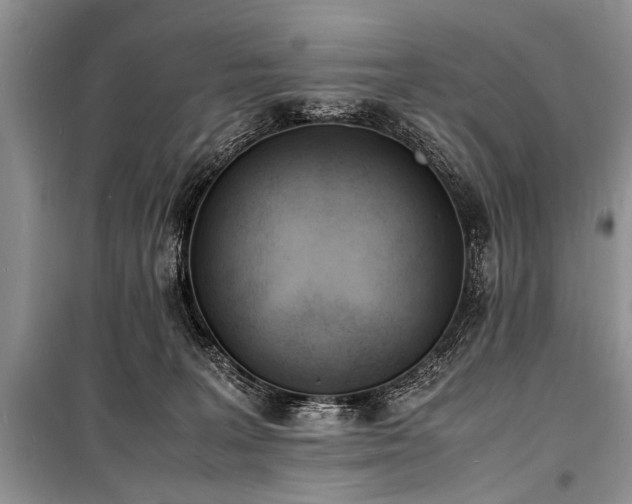 X0000100980227200806241551