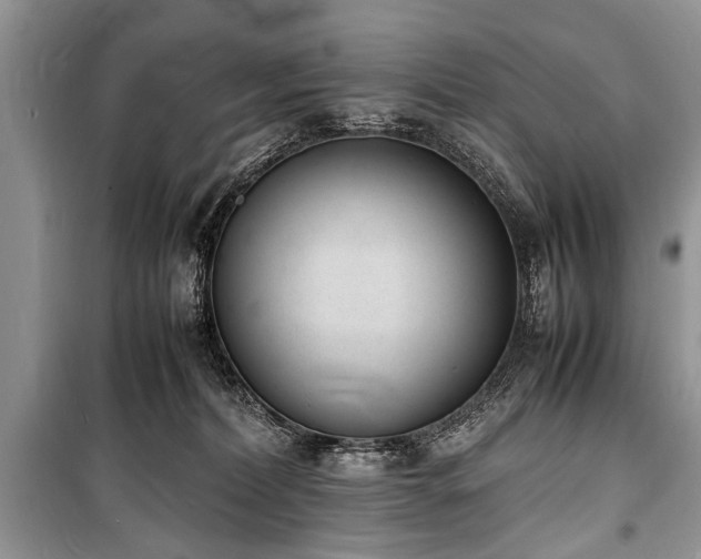 X0000100980228200806241551