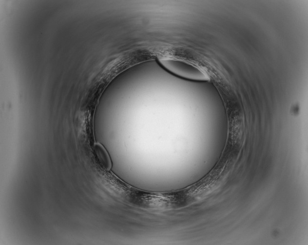 X0000100980229200806241551