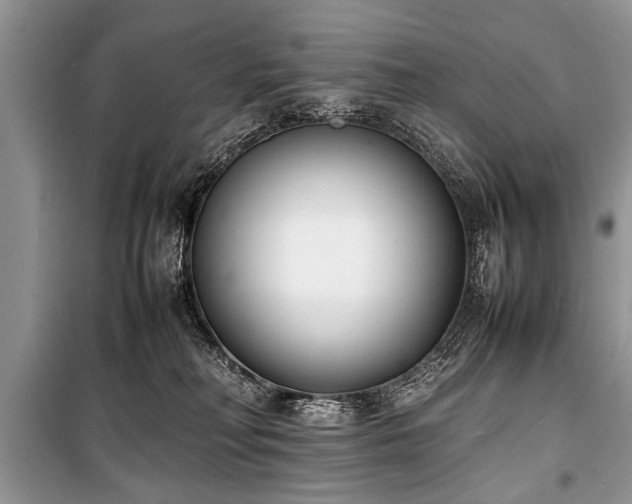 X0000100980230200806241551