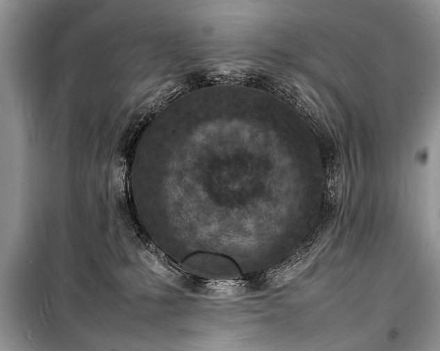 X0000100980231200806241551