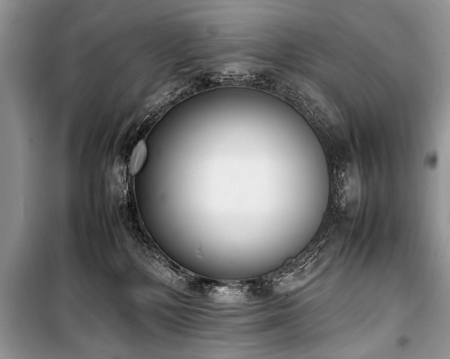 X0000100980232200806241551