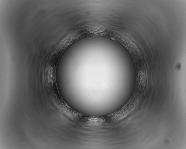 X0000100980234200806241551