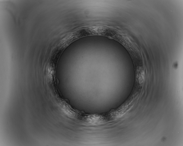 X0000100980235200806241551