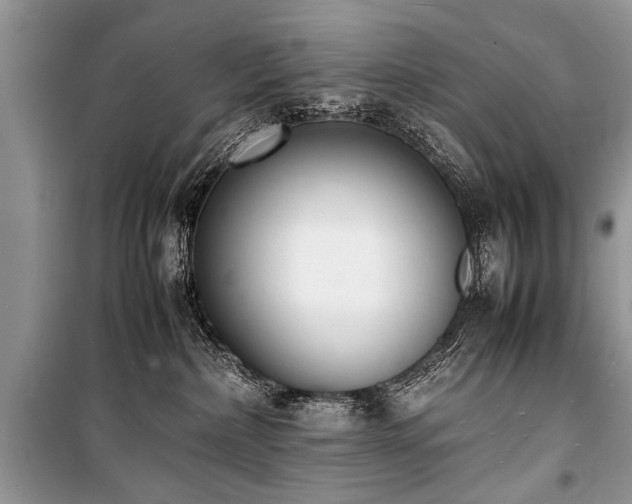 X0000100980236200806241551