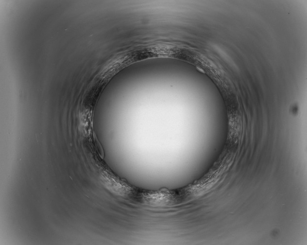 X0000100980237200806241551