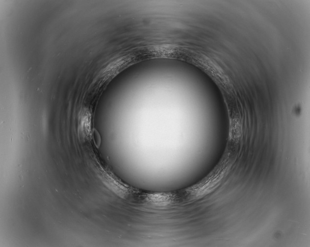 X0000100980238200806241551