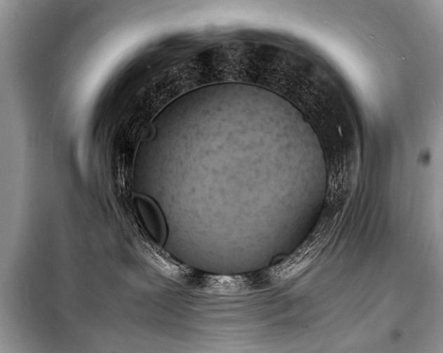 X0000100980239200806241551