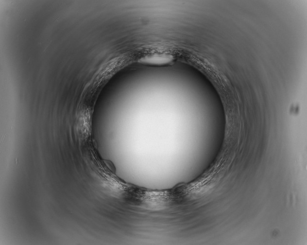 X0000100980240200806241551