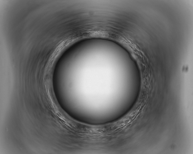 X0000100980241200806241550