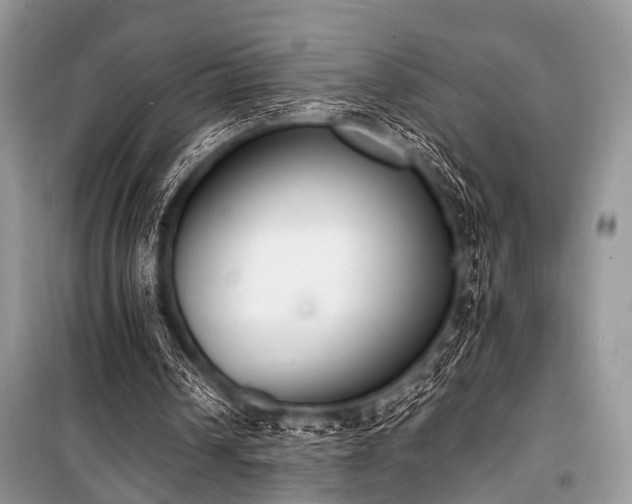 X0000100980242200806241550