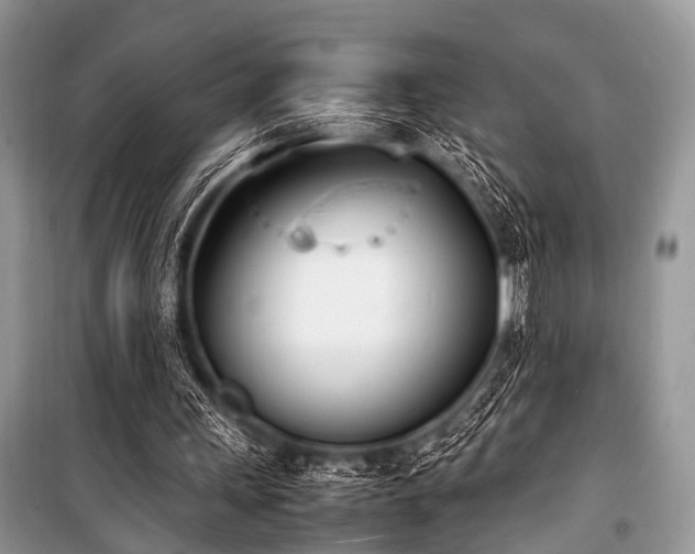 X0000100980243200806241550