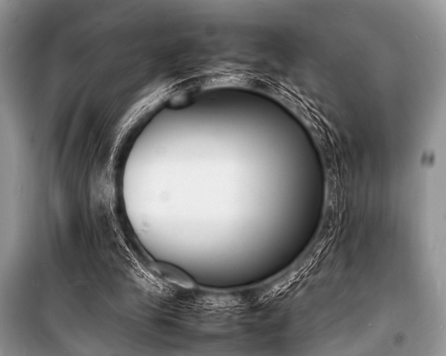 X0000100980245200806241550