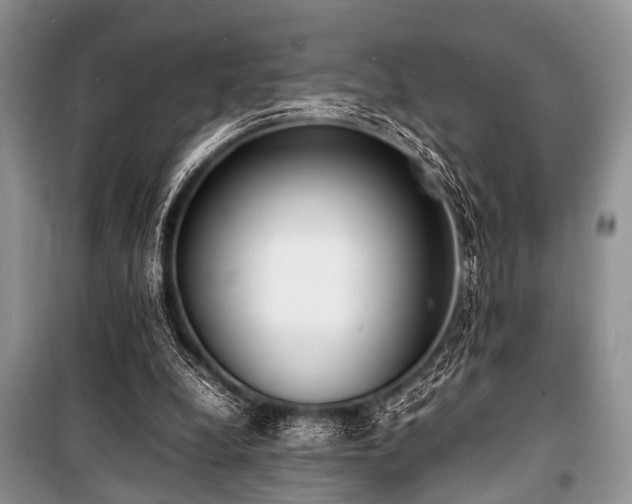 X0000100980248200806241550