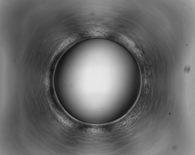 X0000100980250200806241550