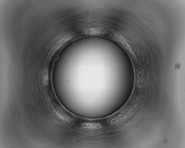 X0000100980251200806241550