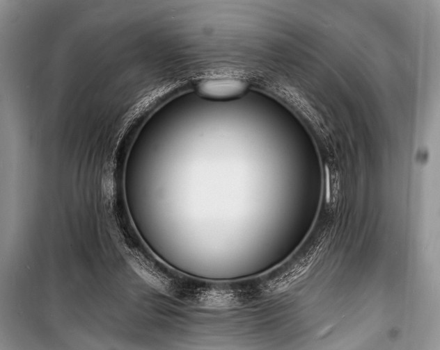 X0000100980252200806241550