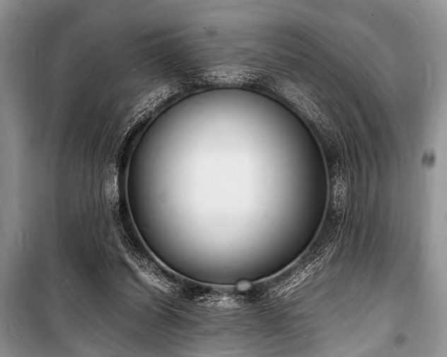 X0000100980254200806241550