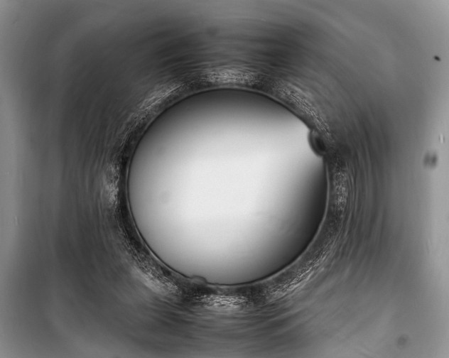 X0000100980255200806241550