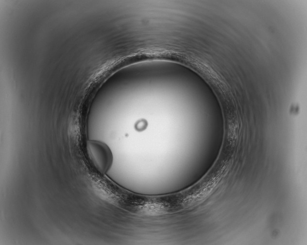 X0000100980256200806241550