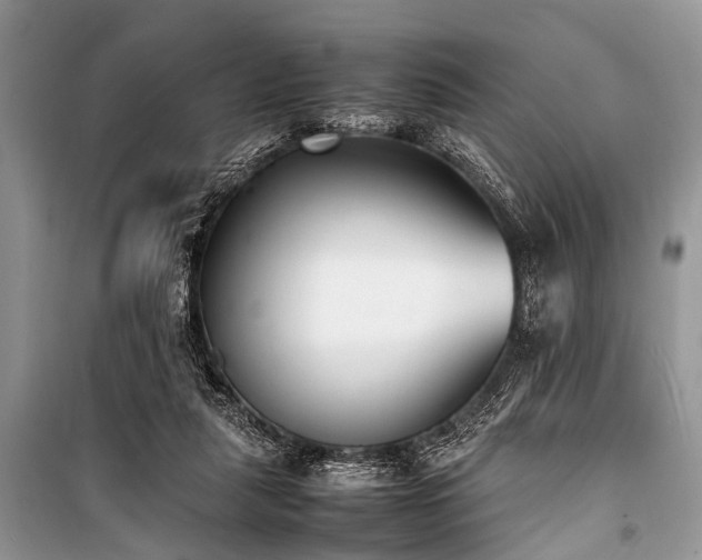 X0000100980259200806241550