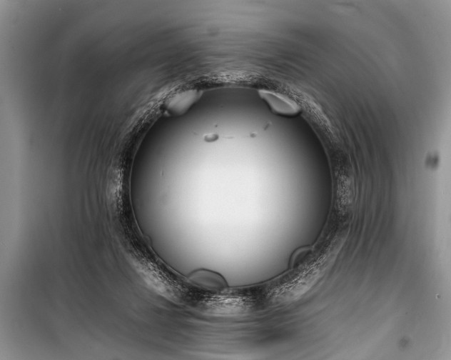 X0000100980260200806241550