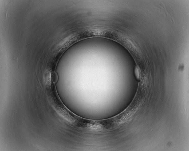 X0000100980262200806241550