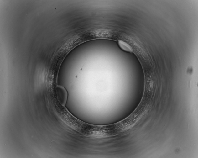 X0000100980263200806241550