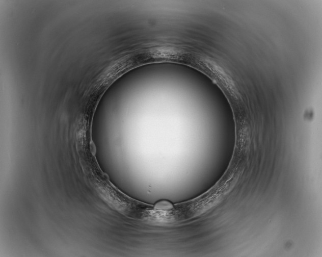 X0000100980265200806241550