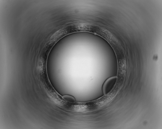 X0000100980266200806241550