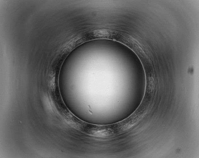 X0000100980267200806241550