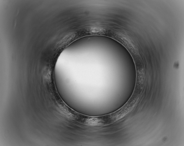 X0000100980269200806241551