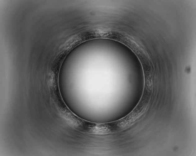 X0000100980270200806241551