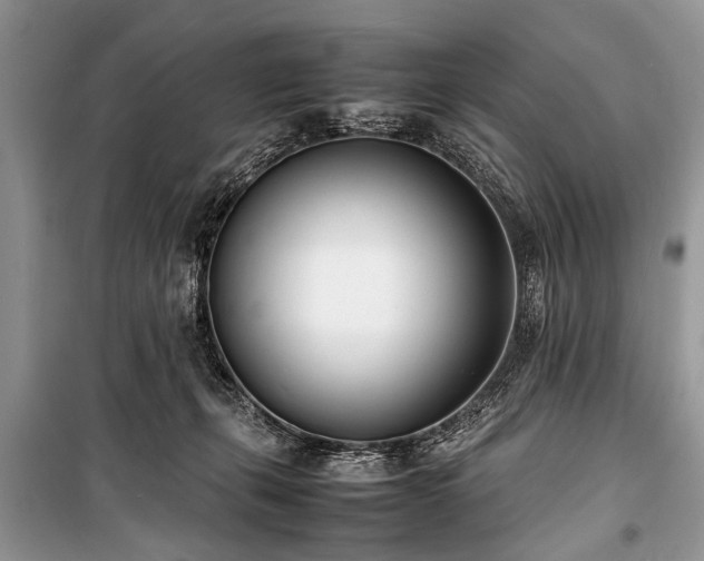 X0000100980271200806241551