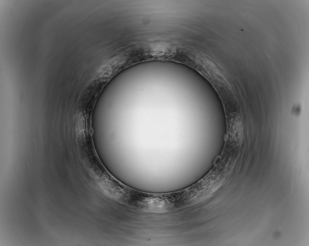 X0000100980272200806241551