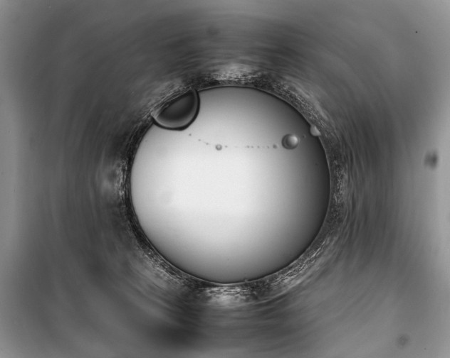 X0000100980273200806241551