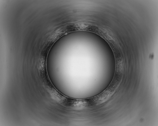 X0000100980274200806241551