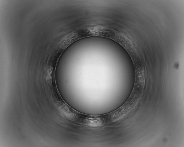 X0000100980275200806241551