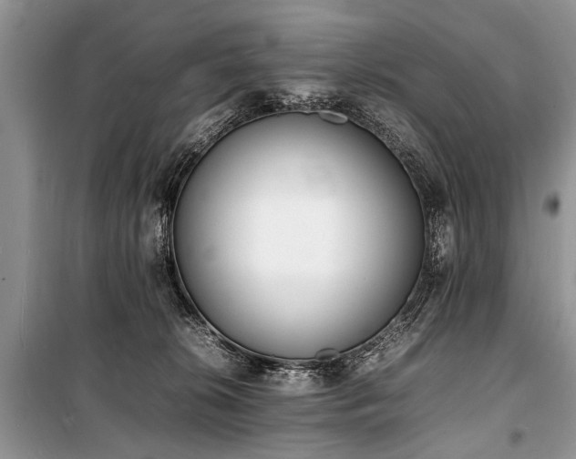 X0000100980276200806241551