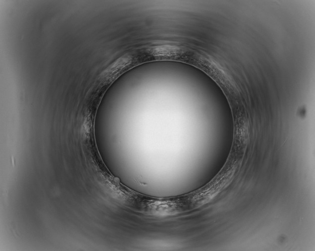 X0000100980277200806241551