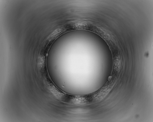 X0000100980278200806241551